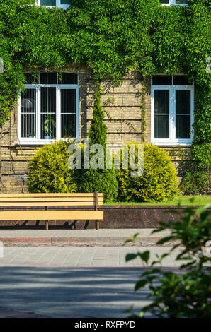 The Urban Invironment- Wooden Bench in Front of the Brick Facade of an Old Building Covered with Ivy. Elements of Beautification in Architecture. livi Stock Photo