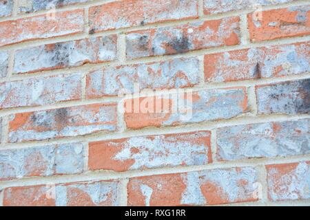 red, orange, grey, white, and black brick background wall Stock Photo