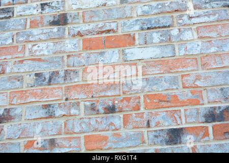 red, orange, grey, white, and black brick background wall Stock Photo