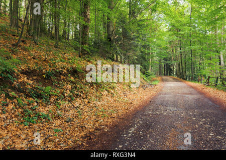 old asphalt road through beech forest. beautiful summer scenery. broken metal fence along the edge of a hill Stock Photo