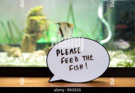 https://l450v.alamy.com/450v/rxg83g/written-reminder-to-please-feed-the-fish-in-front-of-fish-tank-rxg83g.jpg