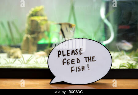 Never Forget to Feed the Fish with the Membo Reminder Board