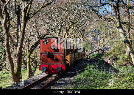 Talyllyn Railway near Dolgoch, Snowdonia National Park, North Wales, UK Stock Photo