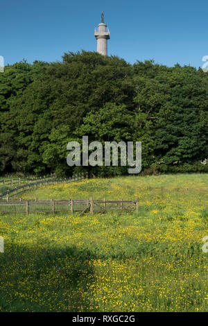 The Marquess of Anglesey's Column (also known as Anglesey Column), near Menai Bridge, Anglesey, North Wales, UK Stock Photo