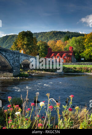 Pont Fawr, Tu Hwnt ir Bont and the River Conwy, Llanrwst, Conwyshire, Snowdonia National Park, North Wales, UK Stock Photo