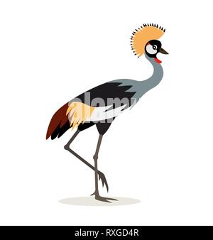 African animal, beautiful colorful crowned crane isolated on white background, exotic bird, vector illustration in flat style. Stock Vector