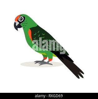 African animal, colorful green parrot lovebird icon isolated on white background, vector illustration in flat style. Stock Vector