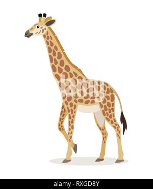 African animal, cute giraffe icon isolated on white background, animal with long neck, vector Stock Vector