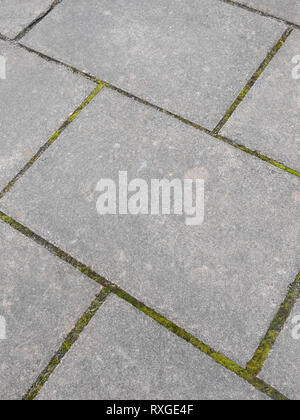 Moss growing in the cracks between concrete paving slabs. Metaphor fall between the cracks, overtaken by weeds, pavement, paving slabs. Stock Photo