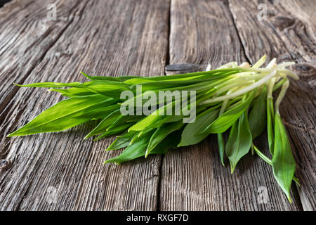 Fresh young wild garlic leaves on a rustic background Stock Photo