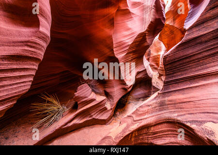 Antelope Canyon Stock Photo