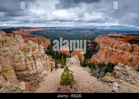 Bryce Canyon National Park Stock Photo
