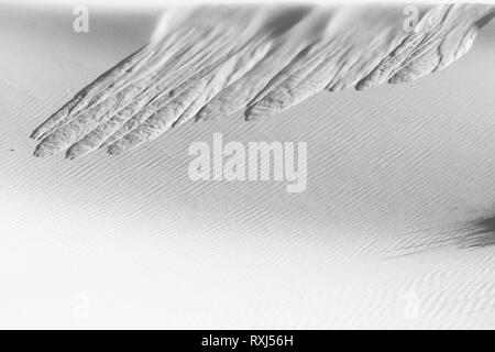Sand avalanche monochrome texture. Flowing sand pattern. Black and white detail abstract background. Close up, sand dune surface on Sahara Desert. Stock Photo