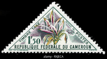 Postage stamp from Cameroon in the Flowers series issued in 1963 Stock Photo