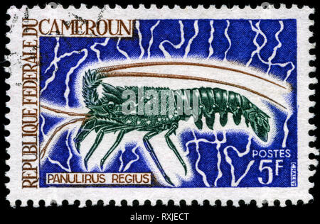 Postage stamp from Cameroon in the Marine life series issued in 1968 Stock Photo