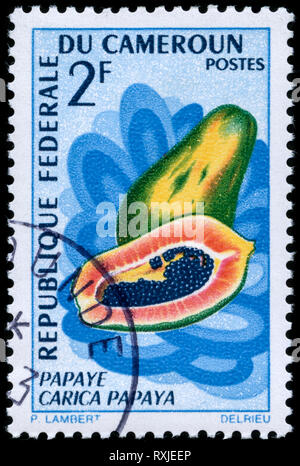 Postage stamp from Cameroon in the Fruits of the land series issued in 1967 Stock Photo