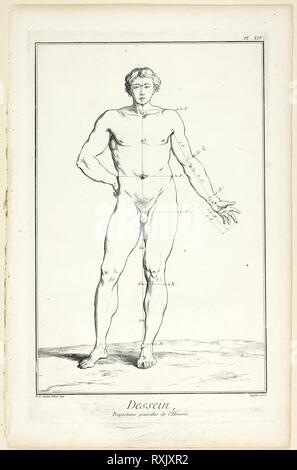 Design: General Proportions of the Male, from Encyclopédie. A. J. Defehrt (French, active 18th century); after Charles-Nicholas Cochin, the younger (French, 1715-1790); published by André le Breton (French, 1708-1779), Michel-Antoine David (French, c. 1707-1769), Laurent Durand (French, 1712-1763), and Antoine-Claude Briasson (French, 1700-1775). Date: 1762-1777. Dimensions: 400 × 260 mm. Etching, with engraving, on cream laid paper. Origin: France. Museum: The Chicago Art Institute. Stock Photo