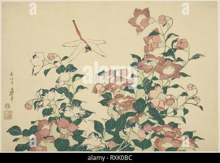 Bell-Flower and Dragonfly, from an untitled series of large flowers. Katsushika Hokusai ?? ??; Japanese, 1760-1849; Publisher: Hibino Yohachi; Japanese, unknown. Date: 1827-1837. Dimensions: 26.0 x 37.5 cm (10 1/4 x 14 3/4 in.). Color woodblock print; oban. Origin: Japan. Museum: The Chicago Art Institute. Stock Photo