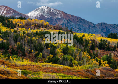 Kebler Pass, Crested Butte, Colorado, USA Stock Photo