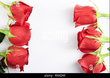 Red roses flower boarder isolated on white background Stock Photo