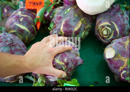 Purple kohlrabi for sale on the market in Alacati, a Greek built town on Turkey's Cesme Peninsula famous for its cobble streets and stone houses.