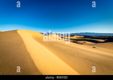 Mesquite Flat Sand Dunes at golden hour