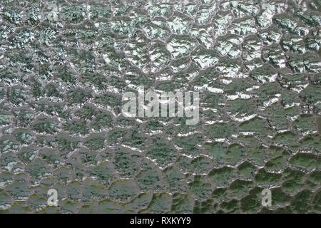 Green and white shines through a frosted, textured privacy window pane, which gives an abstract look of a fractured glass background. Stock Photo