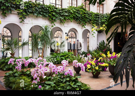 Orchid Extravaganza at Longwood Gardens, Kennett Square, Pennsylvania, USA, March 3, 2019. Stock Photo