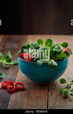 Studio Shot of fresh green Corn Salad with sweet pepper paprika rings Stock Photo