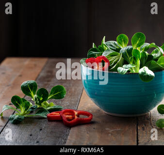 Studio Shot of fresh green Corn Salad with sweet pepper paprika rings Stock Photo