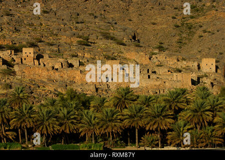 Oasis and kasbah in the Al Hajar Mountains. Oman Stock Photo