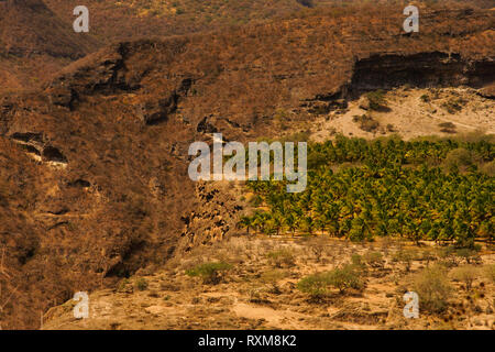 Oasis in the Dhofar mountains. Oman Stock Photo