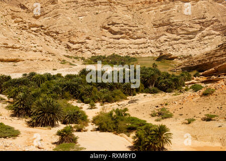 Oasis in the Dhofar mountains. Oman Stock Photo
