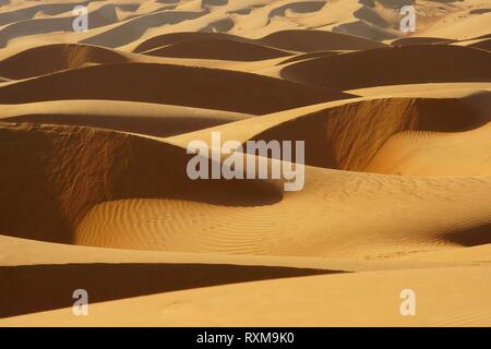 Sand dunes in the desert. Wahiba sands (Sharqiyah sands). Oman Stock Photo