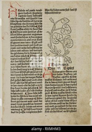Hazelwort from Gart der Gesundheit (Garden of Health), Plate 16 from Woodcuts from Books of the 15th Century. Unknown Artist (Ulm, 15th century); printed and published by Konrad Dinckmut (German, active 1476-1499); original text by Johann Wonnecke von Cube (German, c. 1430-1503); portfolio text by Wilhelm Ludwig Schreiber (German, 1855-1932). Date: 1487. Dimensions: 92 x 56 mm (image); 252 x 184 mm (sheet). Woodcut and letterpress in black with rubrication (recto), and letterpress in black with rubrication and pen and brown ink additions (verso), on buff laid paper. Origin: Germany. Museum: Th Stock Photo
