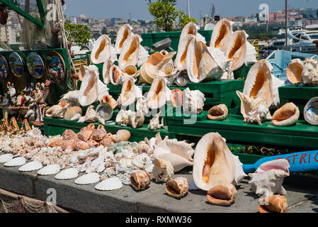 Naples, Italy - August 09, 2015 : Narrow streets of Naples, black and white photographs. View of many sea shells sold as souvenirs. Stock Photo