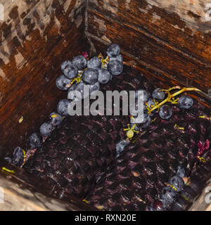 Manual mechanism for crushing grapes. Crush the grapes into juice and wine. Stock Photo