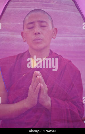 Tibetan nun praying in a pink ultra light tent ( India) Stock Photo