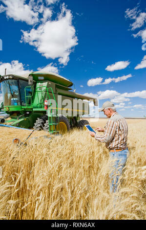 farmer using a tablet in front of his combine harvester during the durum wheat harvest, near Ponteix, Saskatchewan, Canada