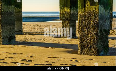 weathered stone poles at the beach, view on the ocean, landscape of the belgian coast Stock Photo