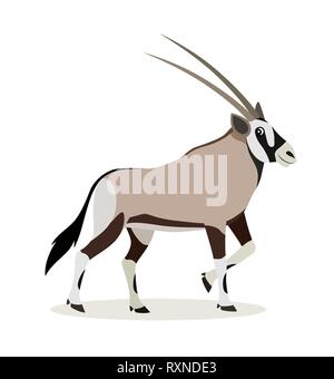 African animal, cute oryx antelope, gazelle isolated on white background, vector