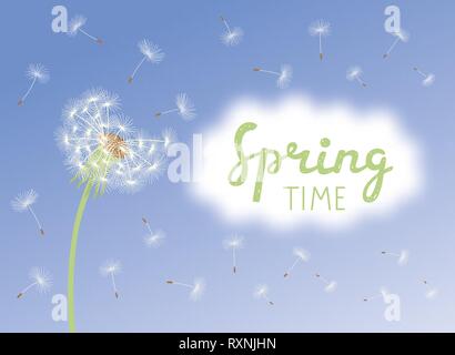 Inscription Spring Time. Vector dandelion with flying seeds on cloudy sky Stock Vector