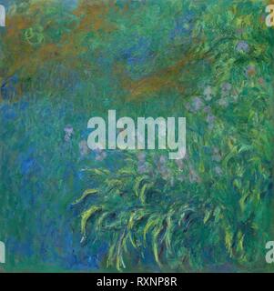 Irises. Claude Monet; French, 1840-1926. Date: 1914-1926. Dimensions: 200 × 200.7 cm (78 3/4 × 79 in.). Oil on canvas. Origin: France. Museum: The Chicago Art Institute. Stock Photo