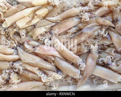 Defrosted squid on ice for sale, Fish local market stall with fresh and defrosted seafood. Stock Photo