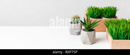 Collection of decorativel plants in different pots Stock Photo