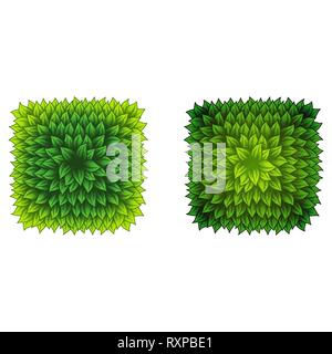 Set of two full square leaves frames isolated on white background Stock Vector