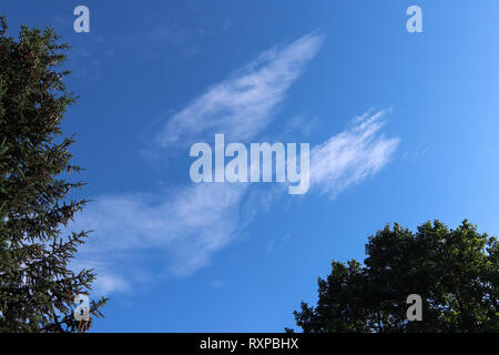 Flying angel on the sky - a bizarre formation of clouds in the sky Stock Photo