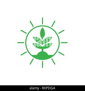 simple geometric green plant circle logo vector Stock Vector