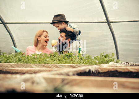 Little kid in fedora hat feeding his parents with apple while sitting on daddys shoulders. Bearded man with his wife and son in greenhouse Stock Photo