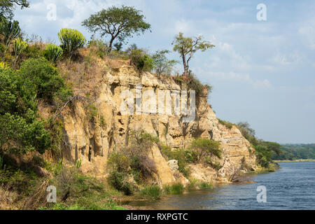 Vertical cliffs, home to bee-eater colony, on bank of Victoria Nile river in Murchison Falls National Park, Northern Uganda, East Africa Stock Photo